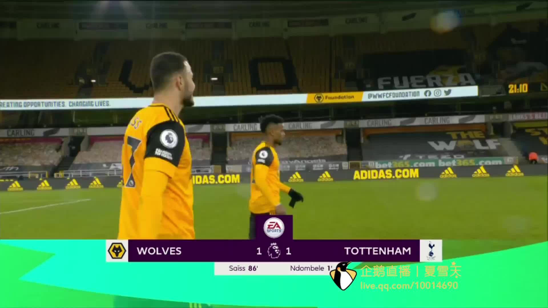 同层次的目 同层次的目