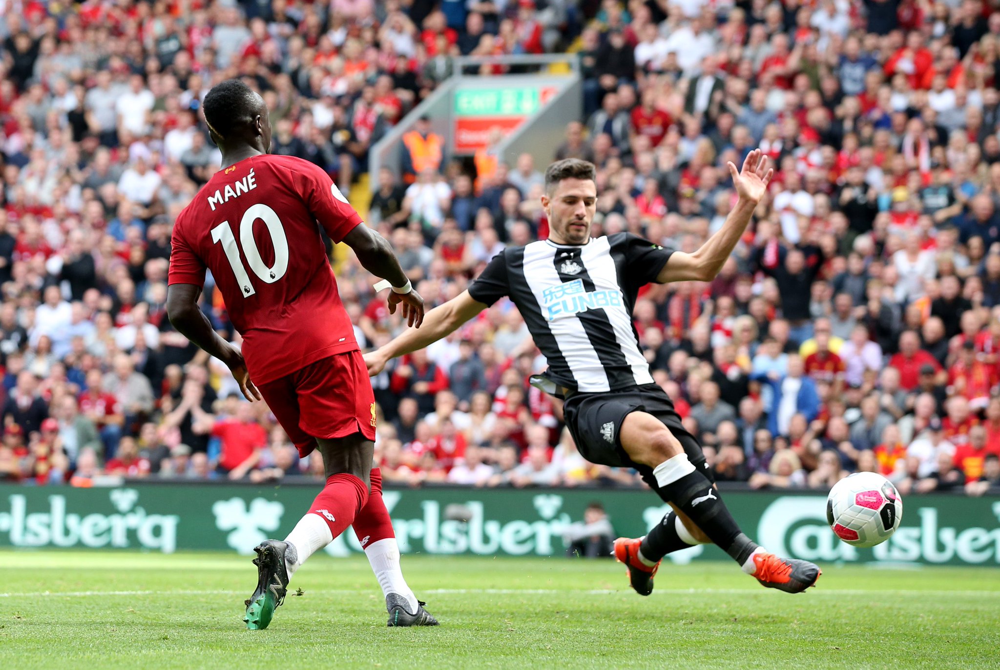 僅為自己創 僅為自己創